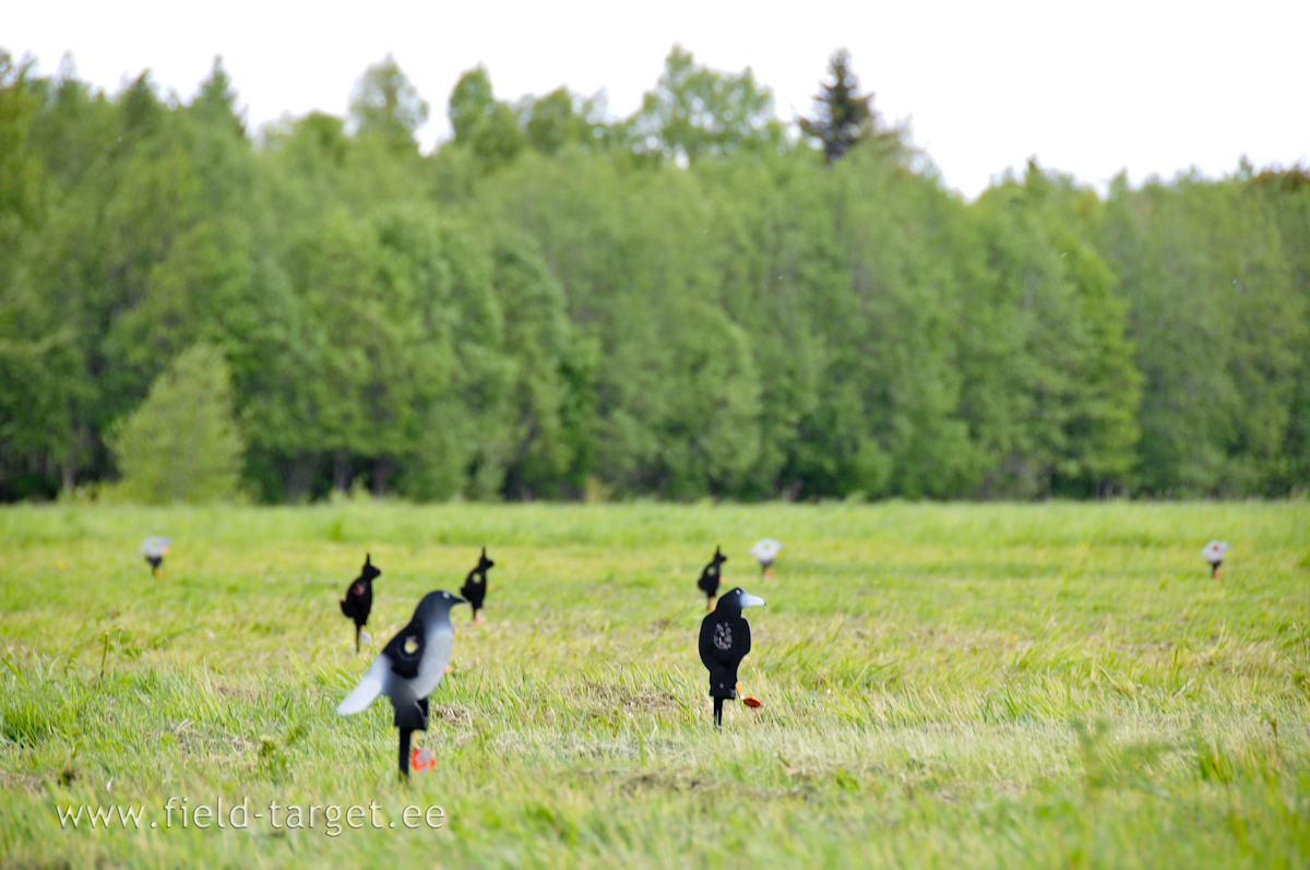 Testline trainingtargets